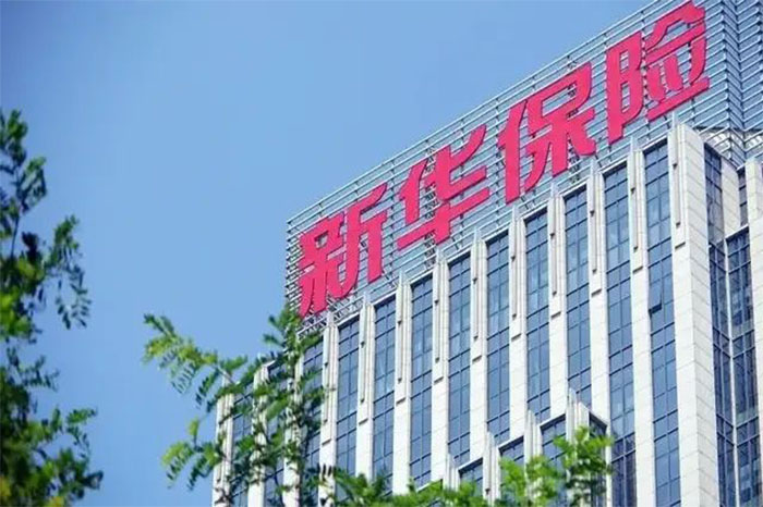 新华人寿保险股份有限公司----以全方位寿险业务为核心的金融服务集团